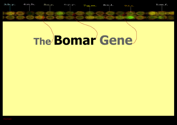 A yellow page with the words 'The Bomar Gene' written on it.